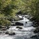 Sources de Combioulaz en Valais | Dixence Resort